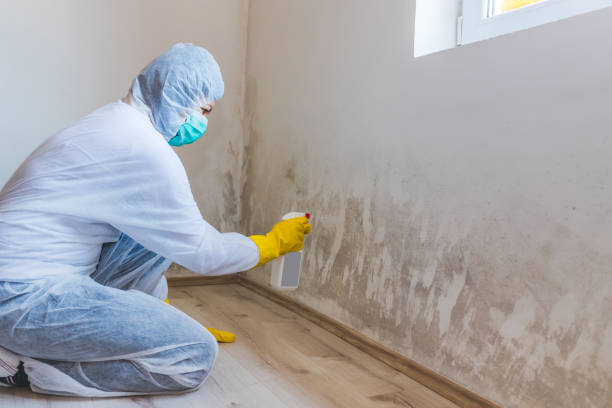Licensed Crawl Space Mold Removal service in Topsfield, MA - WQB Mold Removal