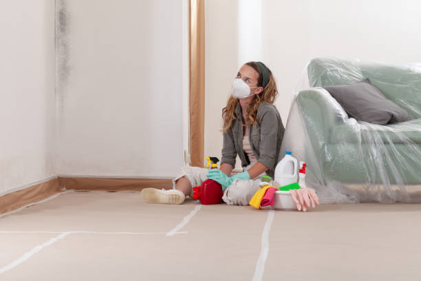 Reliable Crawl Space Mold Removal contractor in Topsfield, MA by WQB Mold Removal