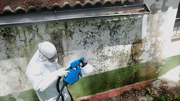 Top rated local Crawl Space Mold Removal specialists in Topsfield, MA